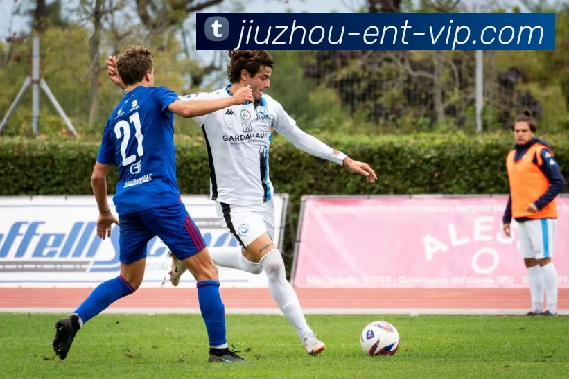 九州娱乐平台生态图